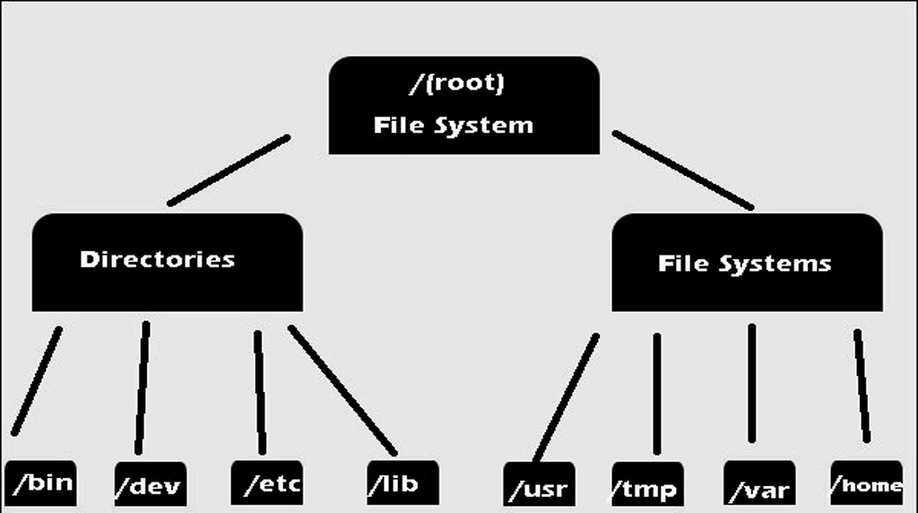 3 Basic Structure of File Systems