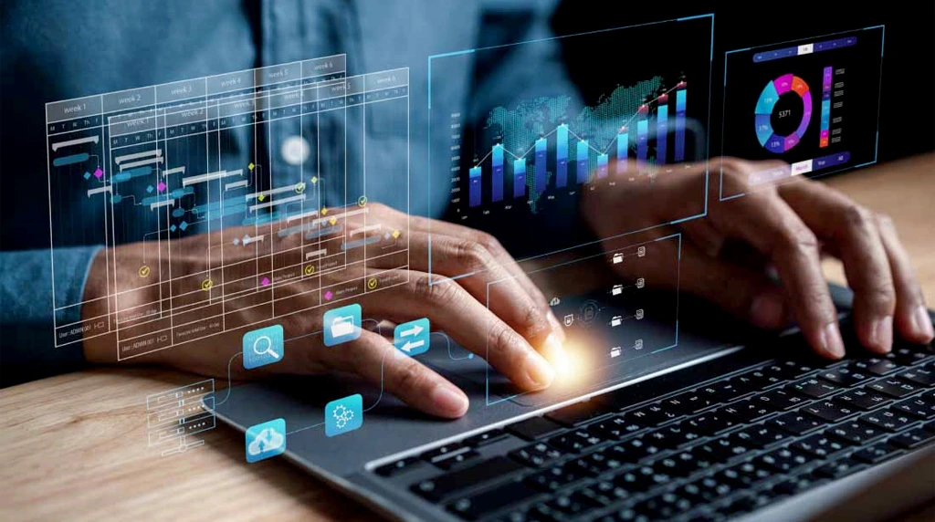 Proficiency in Office Productivity Software