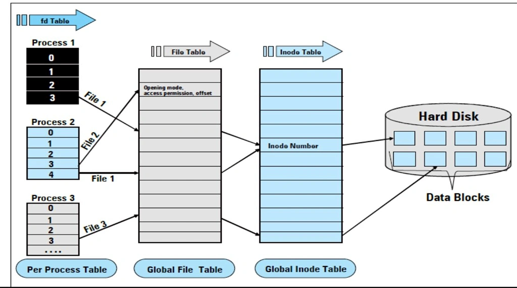 Inodes and File Descriptors