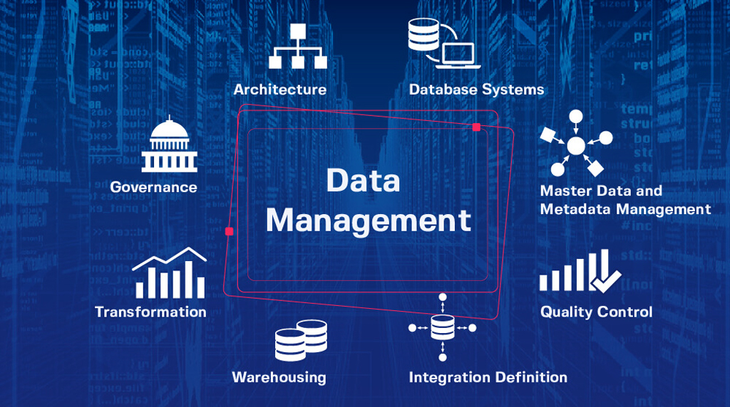Data Management and Organization