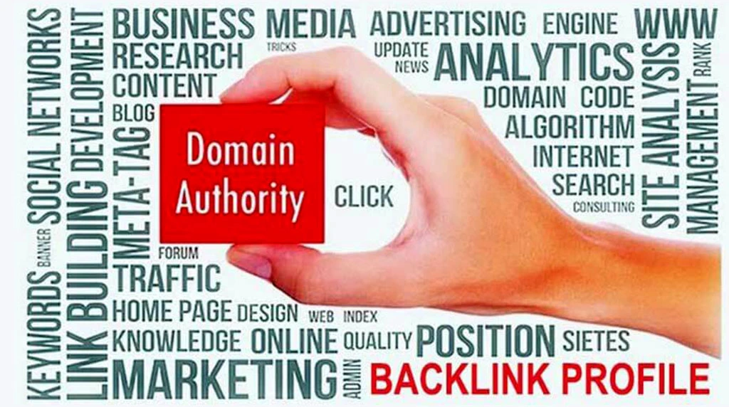 Backlinks Build Domain Authority