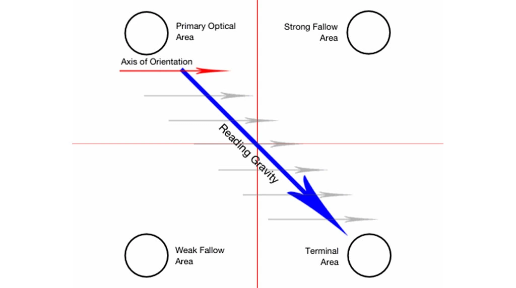 Visual Flow and Direction