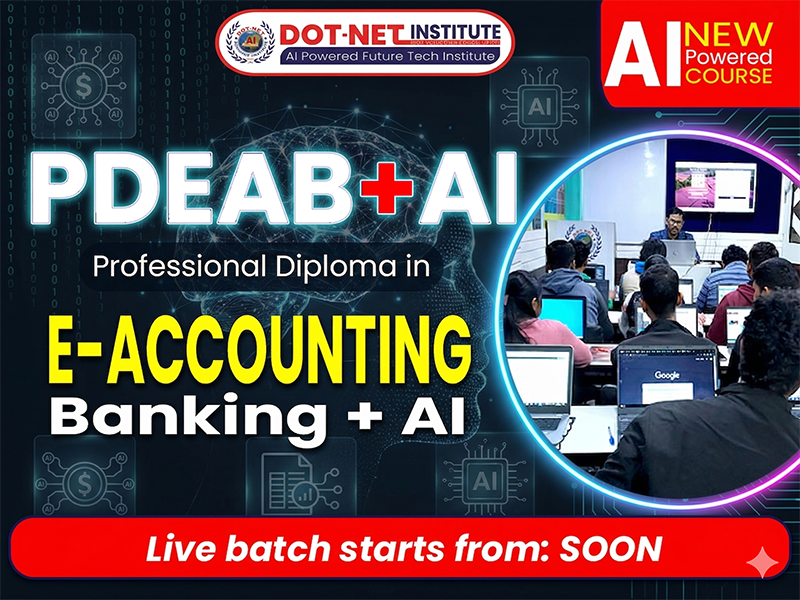 professional diploma in e-accounting and banking